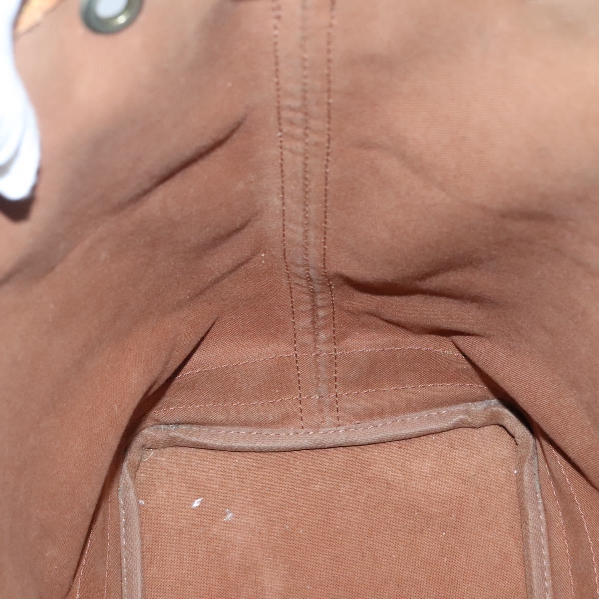 Monogram Noe Shoulder Bag