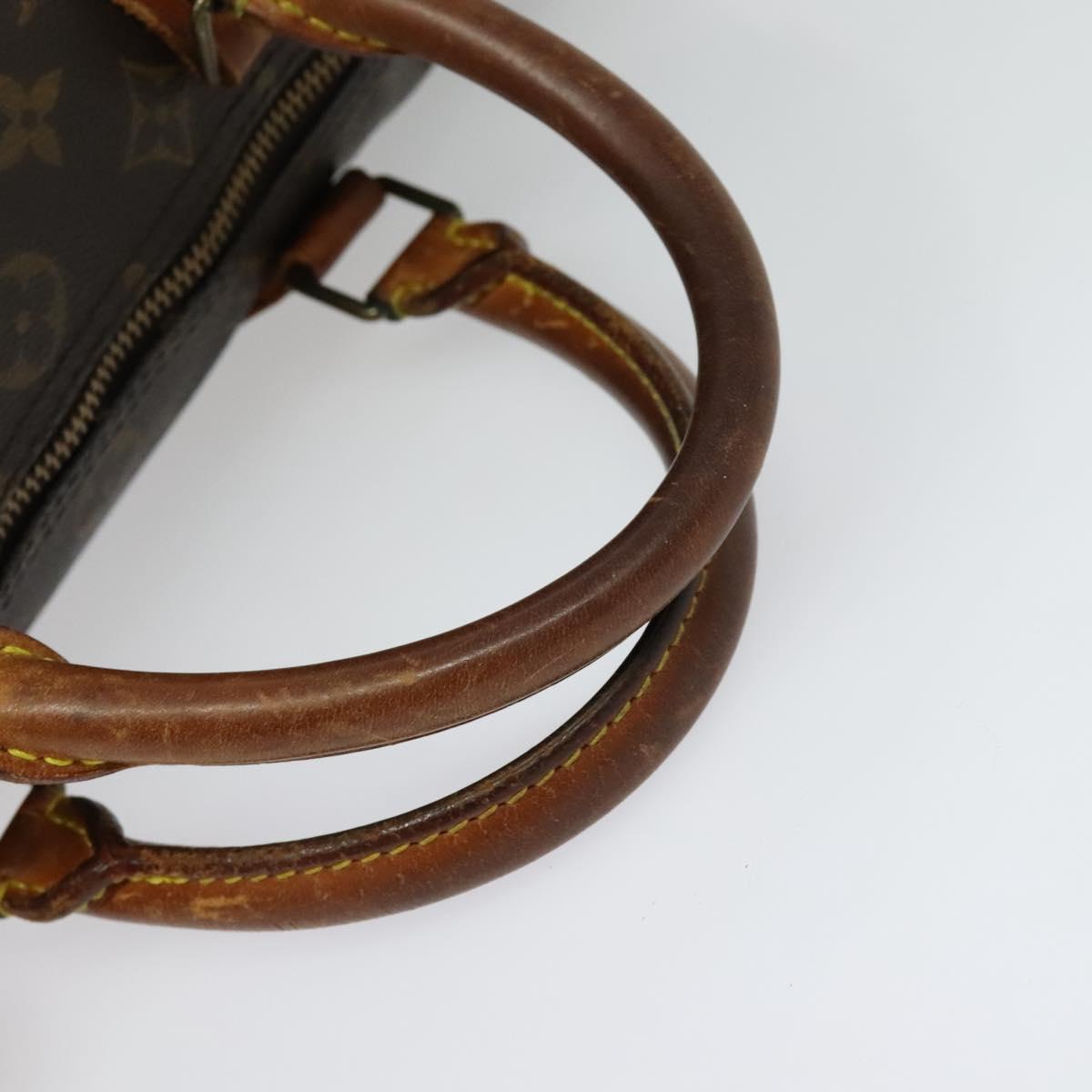 Monogram Speedy 30 Hand Bag