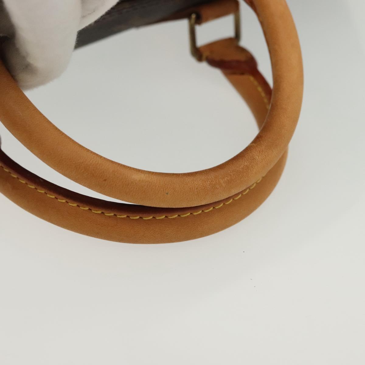Monogram Speedy 30 Hand Bag