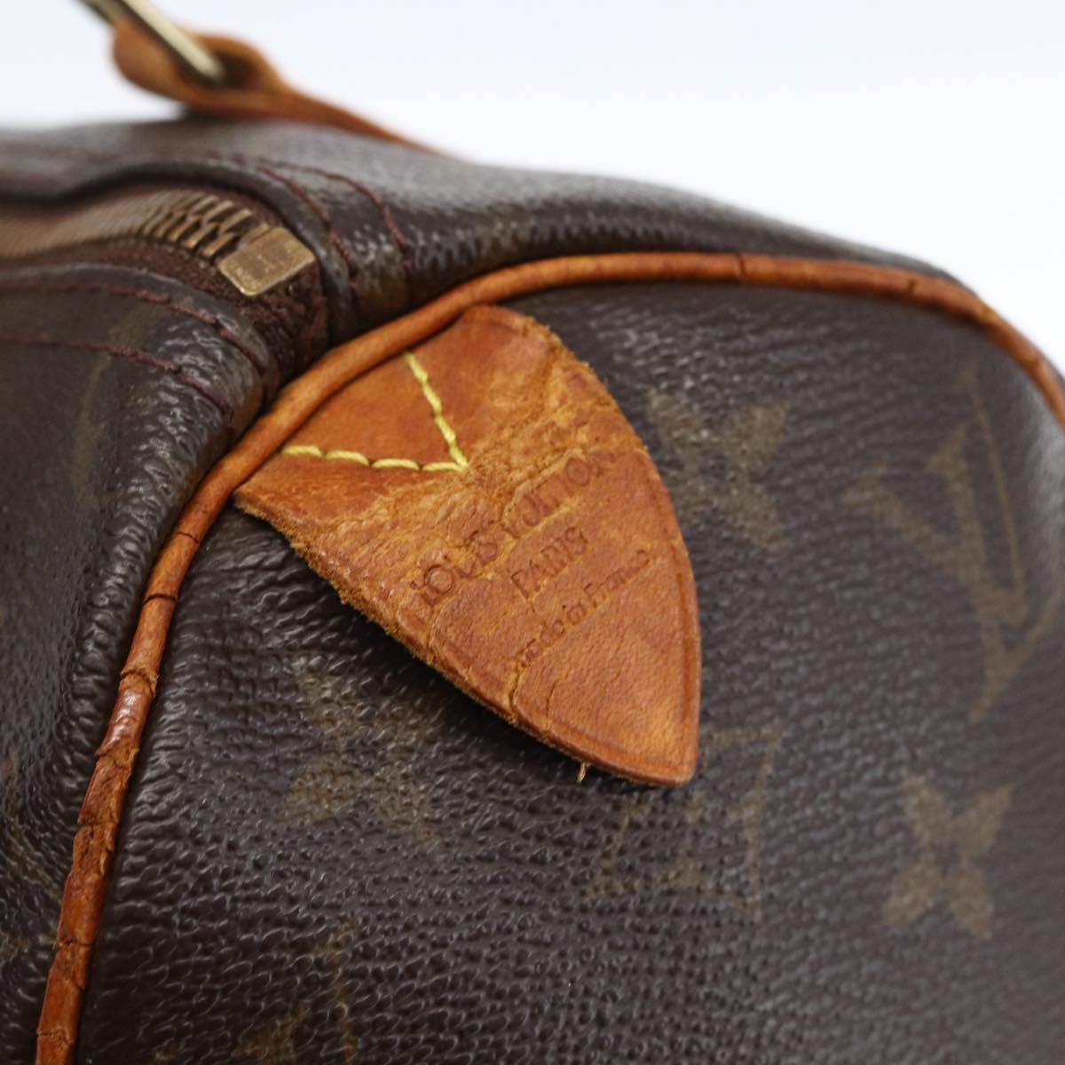 Monogram Speedy 25 Hand Bag