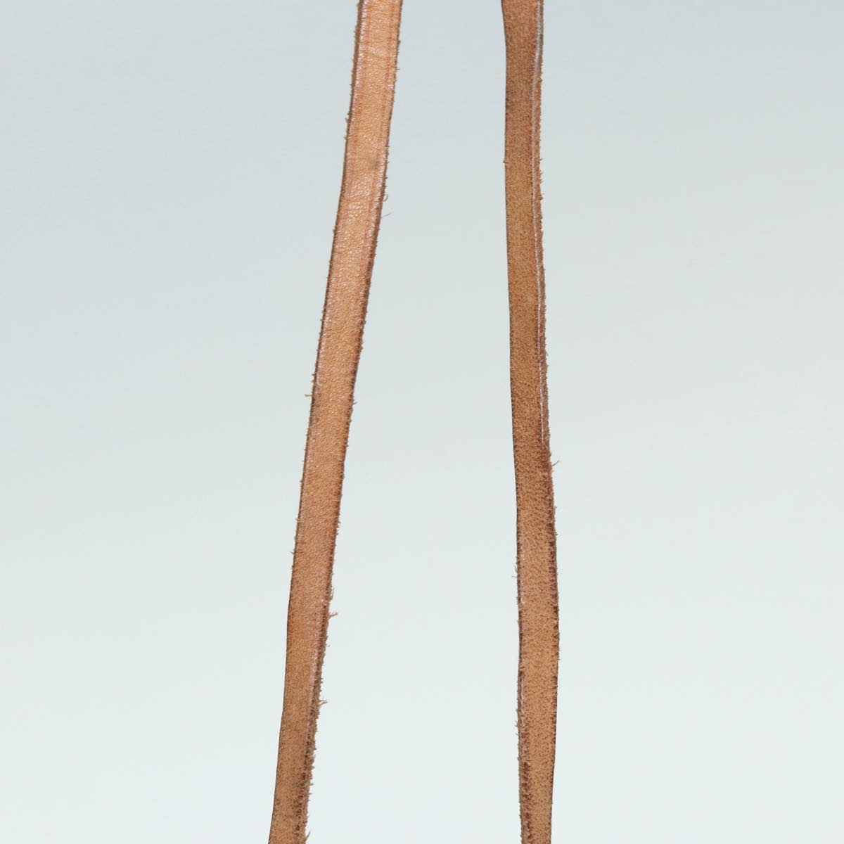 Monogram Noe Shoulder Bag