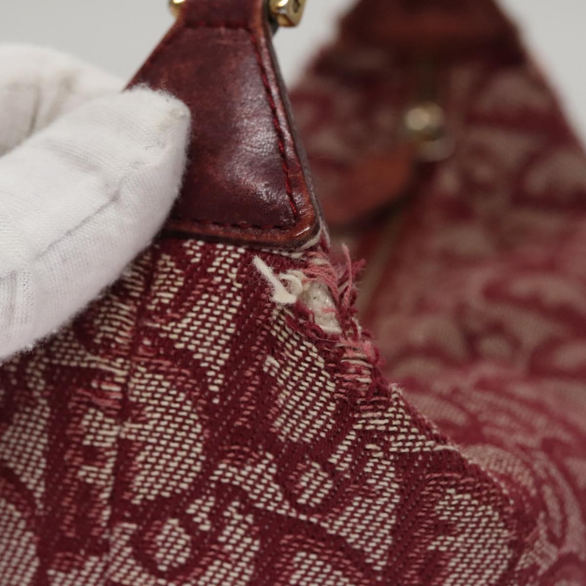 Trotter Canvas Hand Bag Red