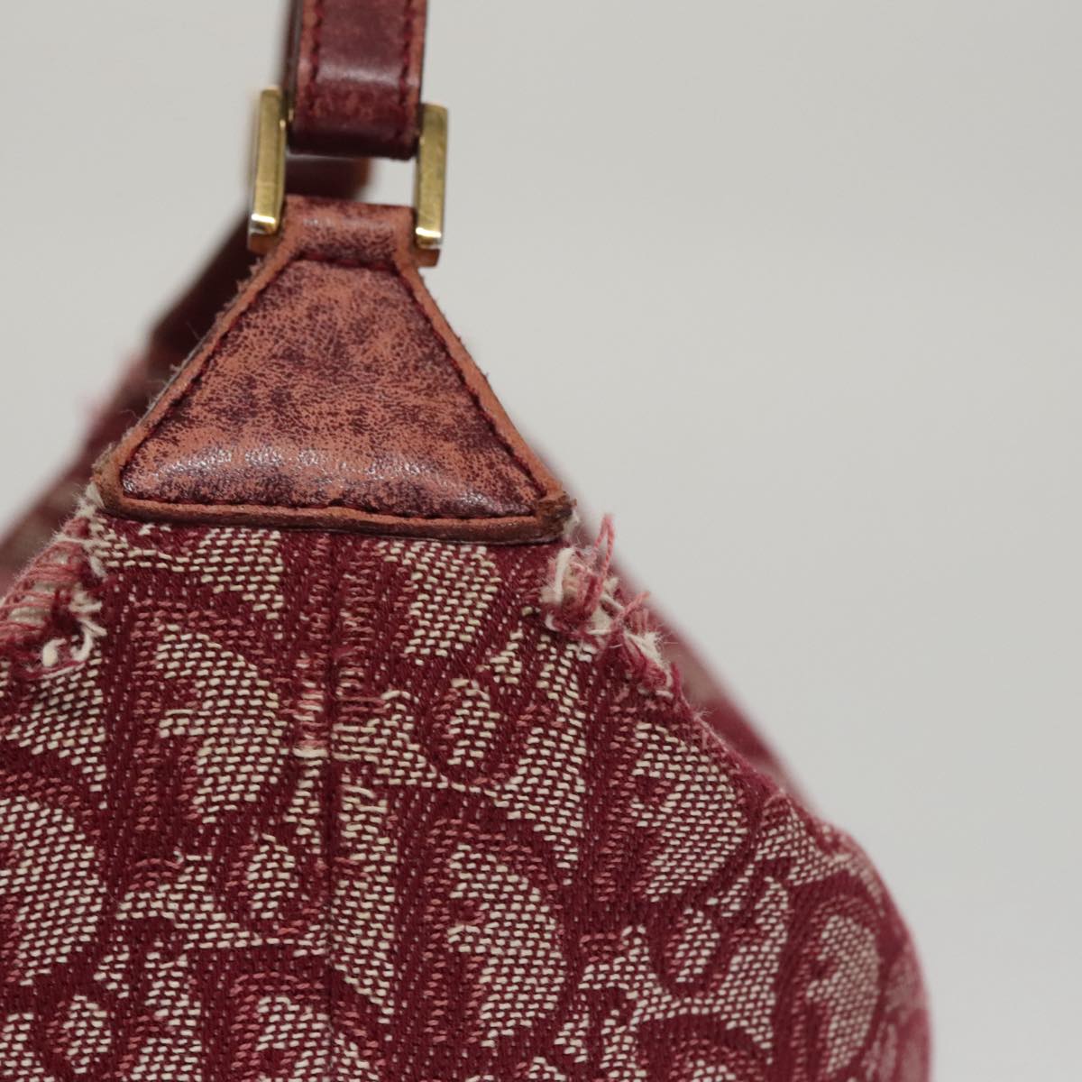 Trotter Canvas Hand Bag Red