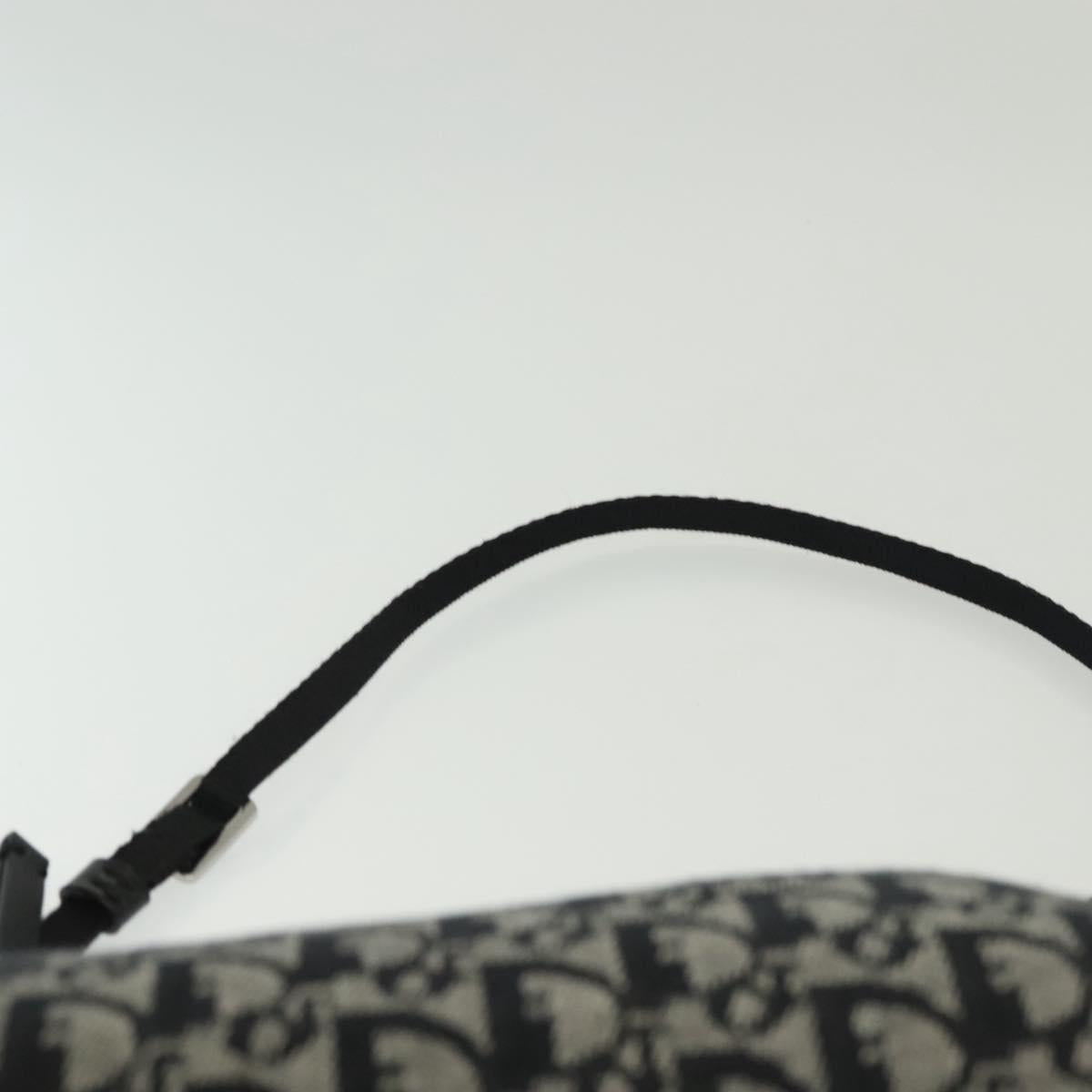 Christian Dior Trotter Canvas Accessory Pouch Navy Silver