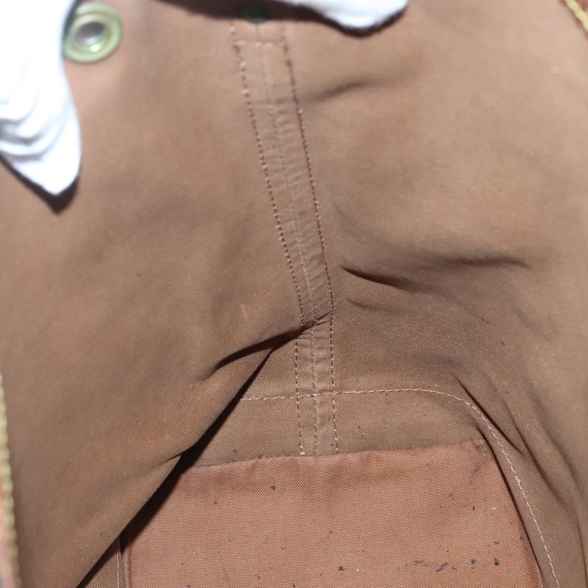 Monogram Noe Shoulder Bag